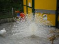 ./files/ichbinich50-01.pic.jpg