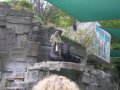 ./files/ichbinich50-01.pic.jpg