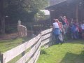 ./files/ichbinich_tirol_01_pic.jpg